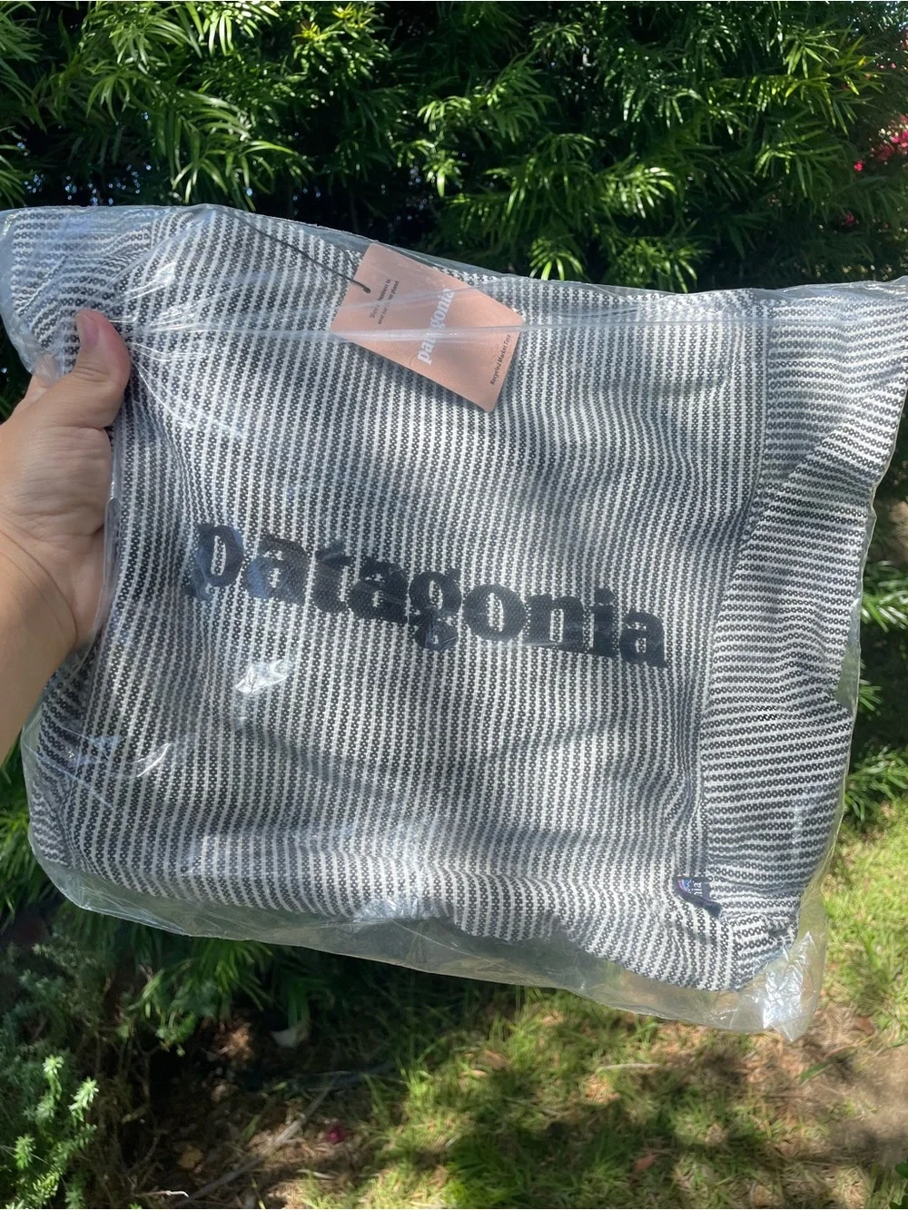 Patagonia tote bold